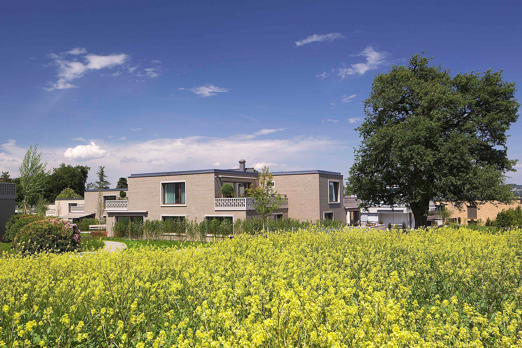 Kilchberg-Sun-Hill-meili